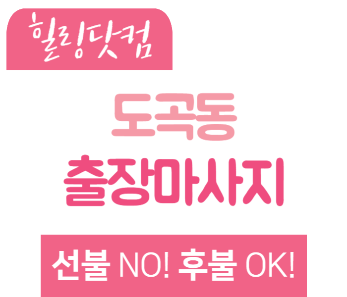 도곡동 출장마사지