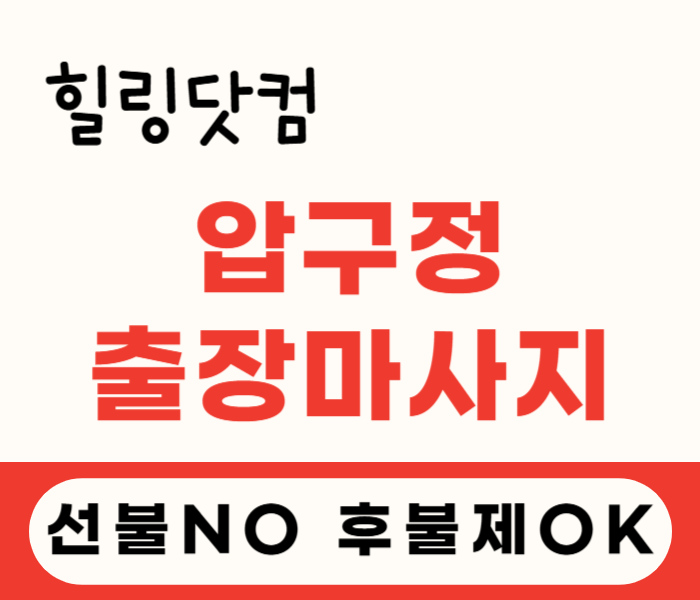 압구정동 출장마사지